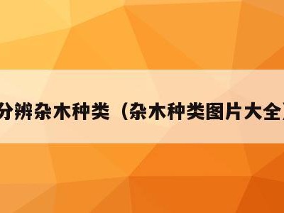 分辨杂木种类（杂木种类图片大全）