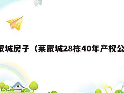 莱蒙城房子（莱蒙城28栋40年产权公寓）
