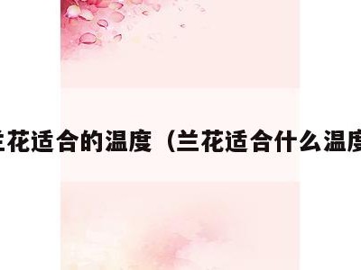 兰花适合的温度(兰花适合什么温度)