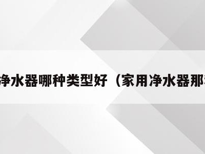 家用净水器哪种类型好（家用净水器那种好）