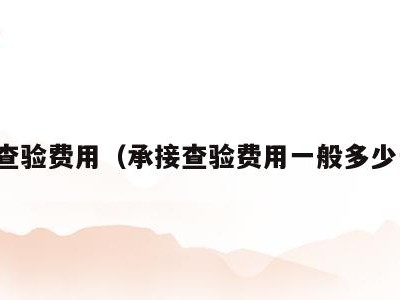 承接查验费用(承接查验费用一般多少一平)
