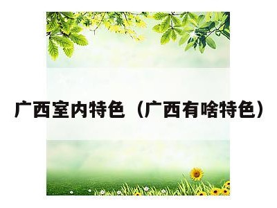 广西室内特色(广西有啥特色)