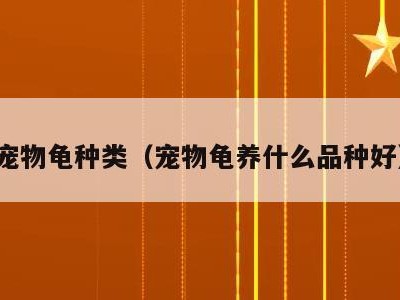 宠物龟种类(宠物龟养什么品种好)