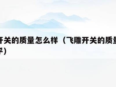飞雕开关的质量怎么样(飞雕开关的质量怎么样知乎)