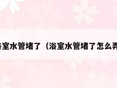 浴室水管堵了（浴室水管堵了怎么弄）