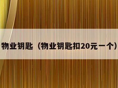 物业钥匙(物业钥匙扣20元一个)