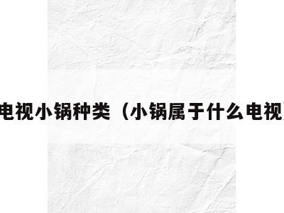 电视小锅种类（小锅属于什么电视）