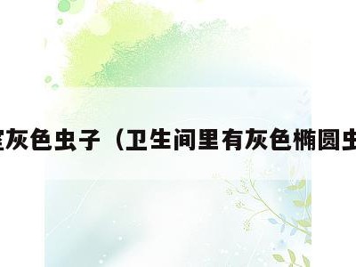 浴室灰色虫子(卫生间里有灰色椭圆虫子)