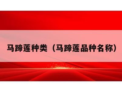 马蹄莲种类（马蹄莲品种名称）