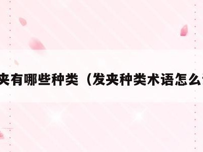 发夹有哪些种类(发夹种类术语怎么说)
