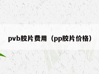 pvb胶片费用（pp胶片价格）
