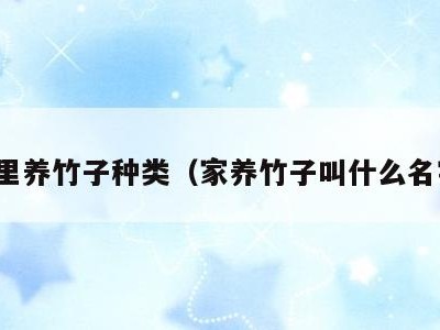 家里养竹子种类（家养竹子叫什么名字）