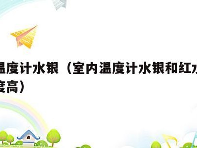 室内温度计水银（室内温度计水银和红水哪个准确度高）