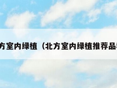 北方室内绿植（北方室内绿植推荐品种）