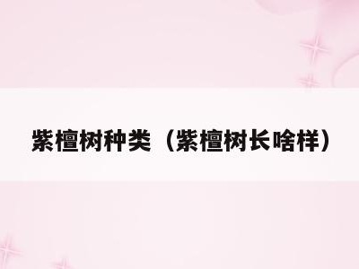 紫檀树种类(紫檀树长啥样)
