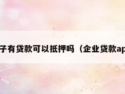房子有贷款可以抵押吗（企业贷款app）