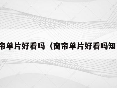 窗帘单片好看吗（窗帘单片好看吗知乎）