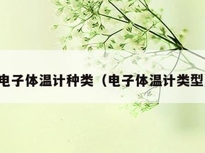 电子体温计种类（电子体温计类型）