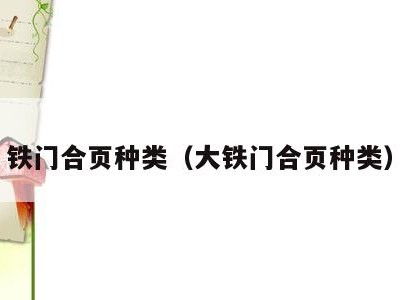 铁门合页种类(大铁门合页种类)