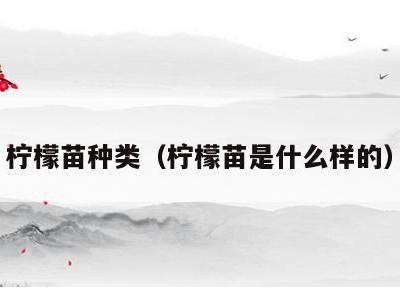 柠檬苗种类（柠檬苗是什么样的）