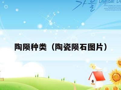 陶陨种类(陶瓷陨石图片)