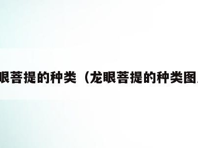 龙眼菩提的种类（龙眼菩提的种类图片）
