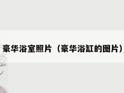 豪华浴室照片(豪华浴缸的图片)