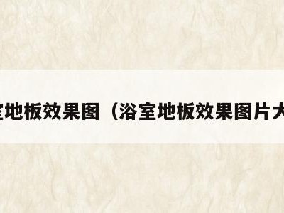 浴室地板效果图(浴室地板效果图片大全)