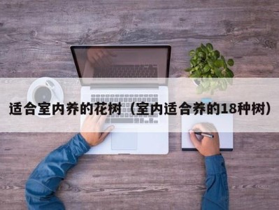 适合室内养的花树(室内适合养的18种树)
