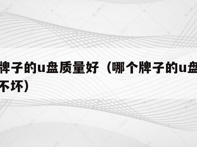 哪个牌子的u盘质量好（哪个牌子的u盘质量好用不坏）