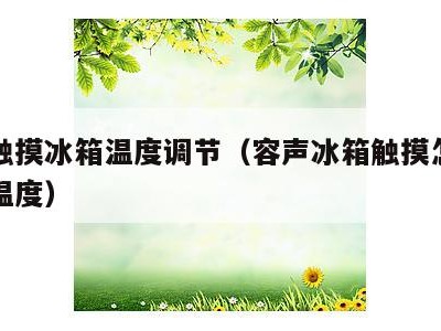 容声触摸冰箱温度调节(容声冰箱触摸怎么设置调温度)