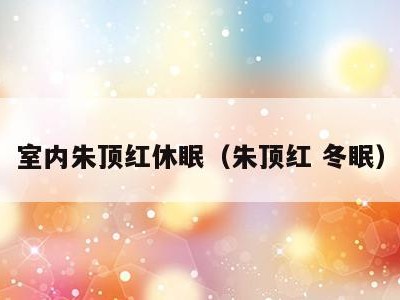 室内朱顶红休眠(朱顶红 冬眠)