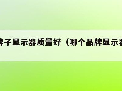 哪个牌子显示器质量好(哪个品牌显示器最好)