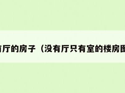没有厅的房子（没有厅只有室的楼房图片）