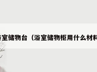 浴室储物台（浴室储物柜用什么材料）