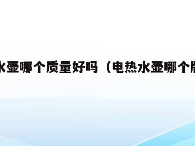 电热水壶哪个质量好吗(电热水壶哪个牌子好一点)