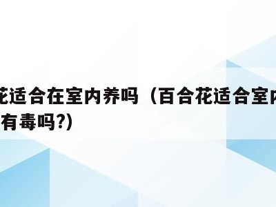 百合花适合在室内养吗(百合花适合室内养吗?香味有毒吗?)