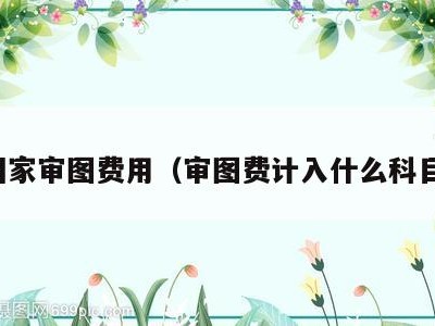 国家审图费用(审图费计入什么科目)
