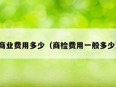 商业费用多少(商检费用一般多少)