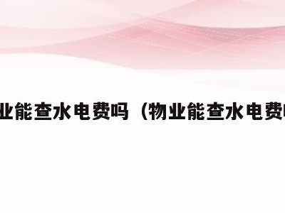 物业能查水电费吗(物业能查水电费吗)