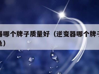 逆变器哪个牌子质量好（逆变器哪个牌子质量好打鱼）