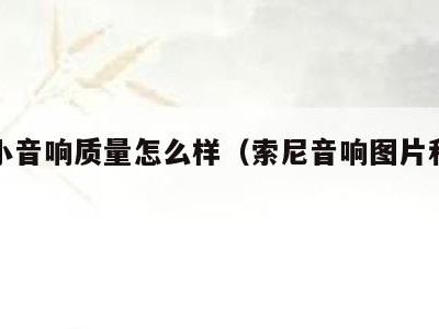 索尼小音响质量怎么样(索尼音响图片和价格)