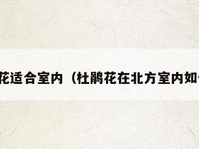 杜鹃花适合室内(杜鹃花在北方室内如何养)