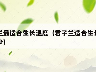 君子兰最适合生长温度（君子兰适合生长温度是多少）