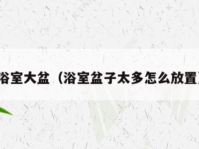 浴室大盆(浴室盆子太多怎么放置)