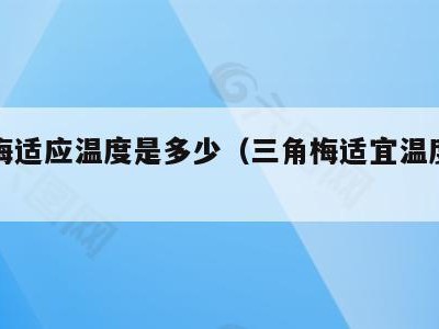 三角梅适应温度是多少(三角梅适宜温度是多少)