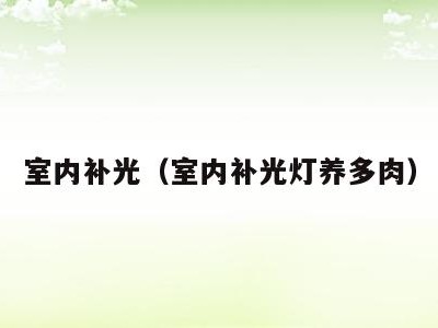 室内补光（室内补光灯养多肉）