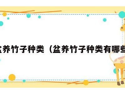 盆养竹子种类(盆养竹子种类有哪些)