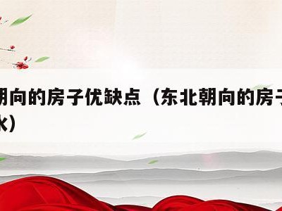 东北朝向的房子优缺点（东北朝向的房子优缺点风水）