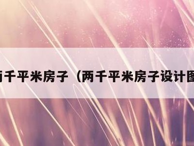 两千平米房子（两千平米房子设计图）